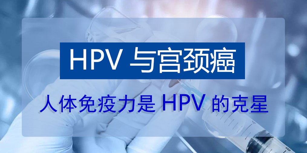 HPV病毒真的那么可怕嗎？人體免疫力是HPV的克星