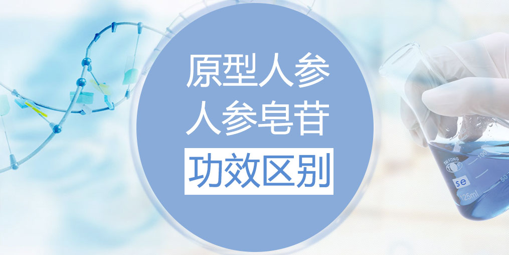 人參和人參皂苷的功效區(qū)別在哪里？