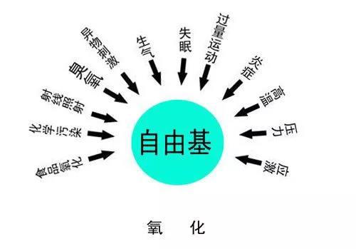 自由基是萬病之源，補(bǔ)硒可以有效清除自由基